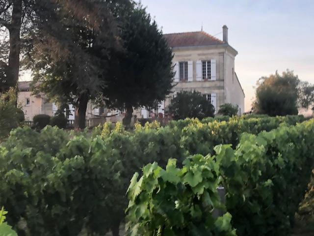 Bed and Breakfast Chateau Couchebout Pugnac Экстерьер фото